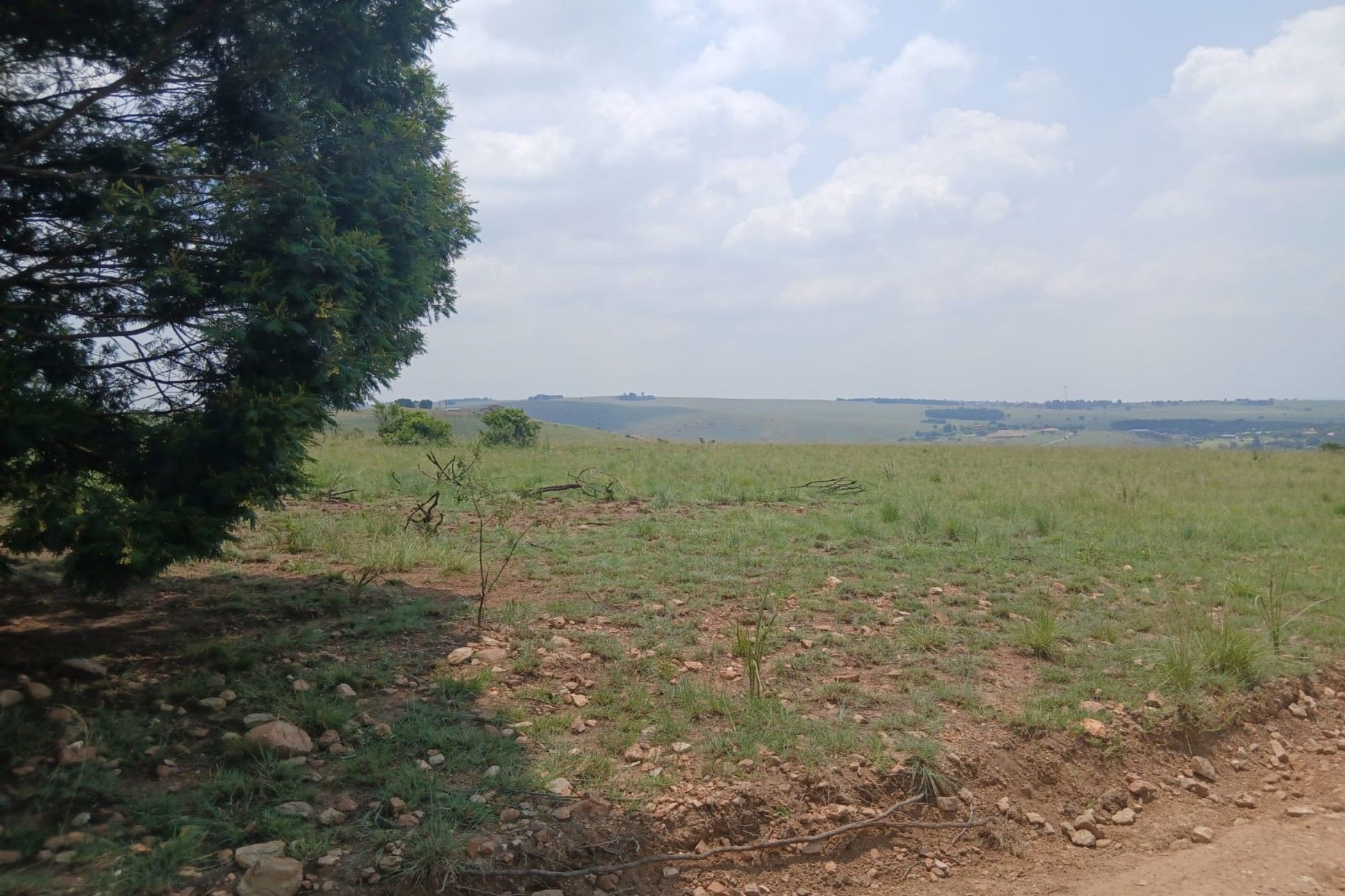 Vacant land for sale in Witbank Rural (eMalahleni Rural)  - 1WD1728251