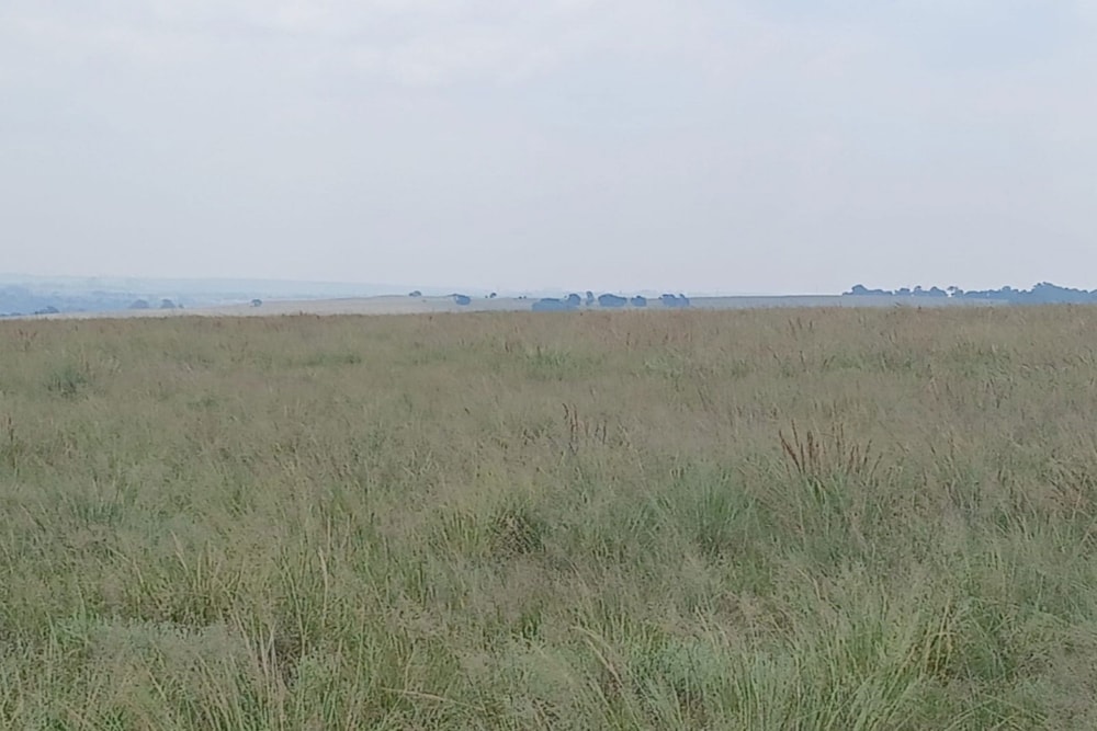 Vacant land for sale in Witbank Rural (eMalahleni Rural)  - 1WD1728266