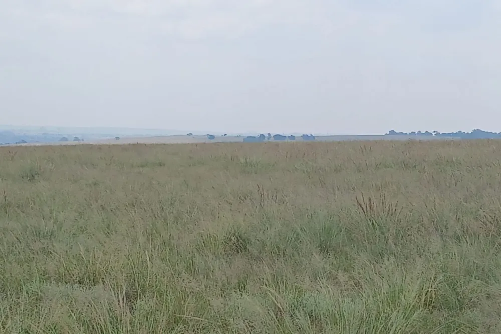 Vacant land for sale in Witbank Rural (eMalahleni Rural) - 1WD1728266 Vacant land for sale in Witbank Rural (eMalahleni Rural) - 1WD1728266