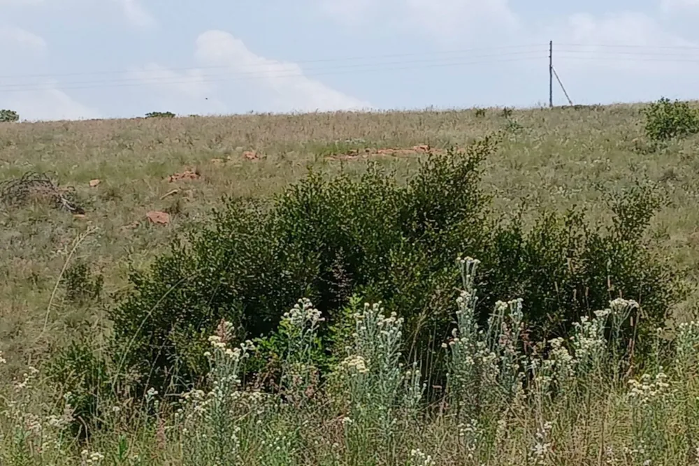 Vacant land for sale in Witbank Rural (eMalahleni Rural) - 1WD1728271 Vacant land for sale in Witbank Rural (eMalahleni Rural) - 1WD1728271