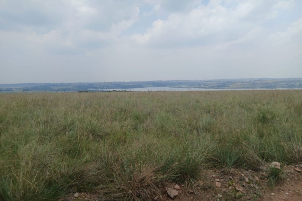 Vacant land for sale in Witbank Rural (eMalahleni Rural)  - 1WD1728271