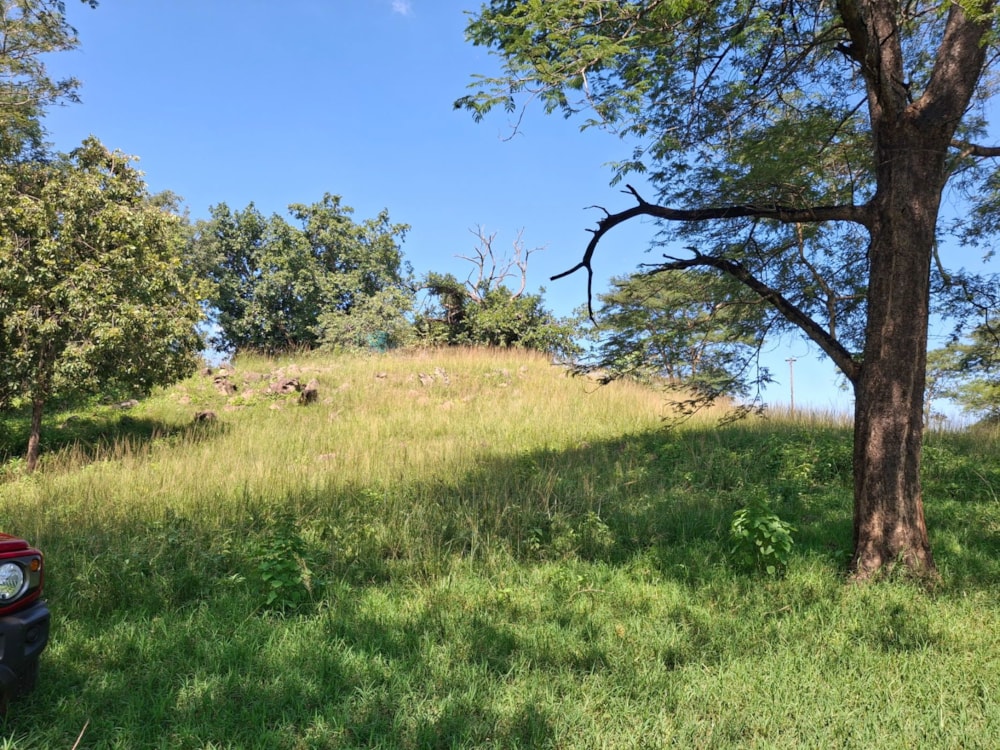 Livestock farm for sale in Tzaneen, Limpopo Province - 1TA1728431 Livestock farm for sale in Tzaneen, Limpopo Province - 1TA1728431