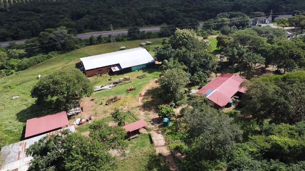 Livestock farm for sale in Tzaneen, Limpopo Province - 1TA1728431 Livestock farm for sale in Tzaneen, Limpopo Province - 1TA1728431