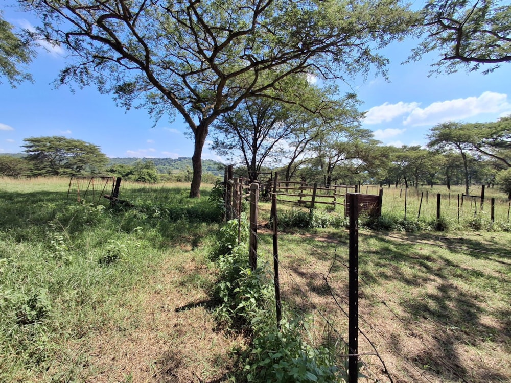 Livestock farm for sale in Tzaneen, Limpopo Province - 1TA1728431 Livestock farm for sale in Tzaneen, Limpopo Province - 1TA1728431