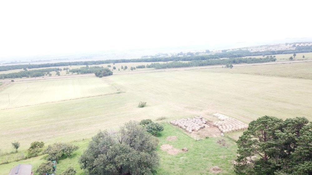 Mixed use farm for sale in Middelburg (Mpumalanga) - 1MD1728321