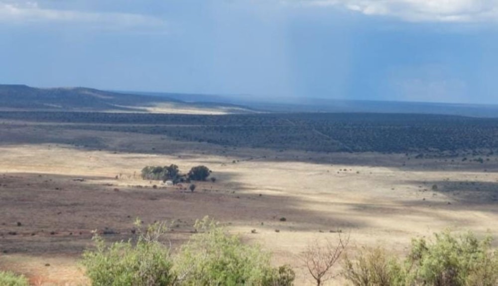 Livestock farm for sale in Douglas Rural - 1KJ1728657 Livestock farm for sale in Douglas Rural - 1KJ1728657