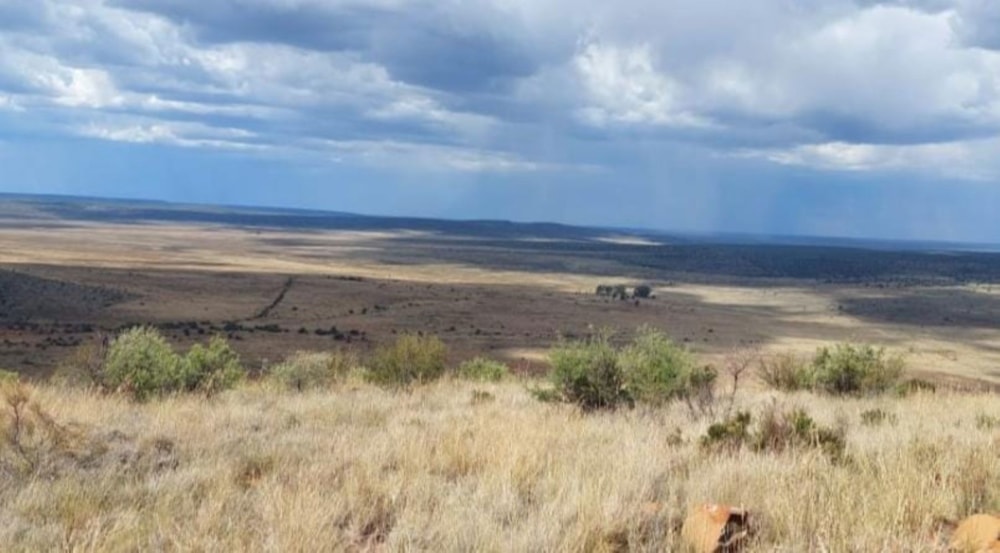 Livestock farm for sale in Douglas Rural - 1KJ1728657 Livestock farm for sale in Douglas Rural - 1KJ1728657