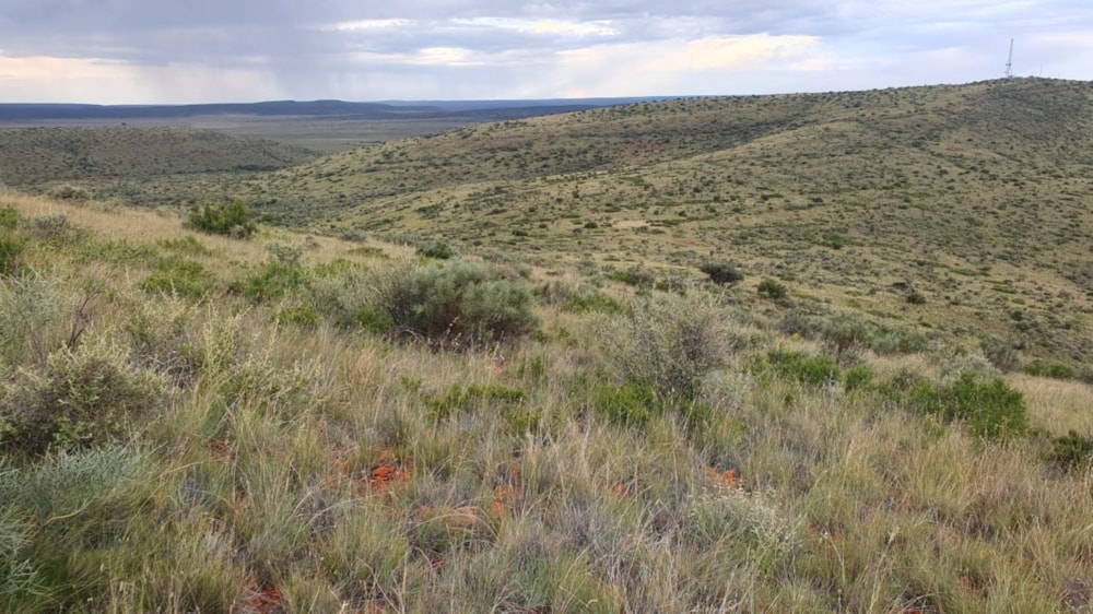 Livestock farm for sale in Douglas Rural - 1KJ1728657 Livestock farm for sale in Douglas Rural - 1KJ1728657