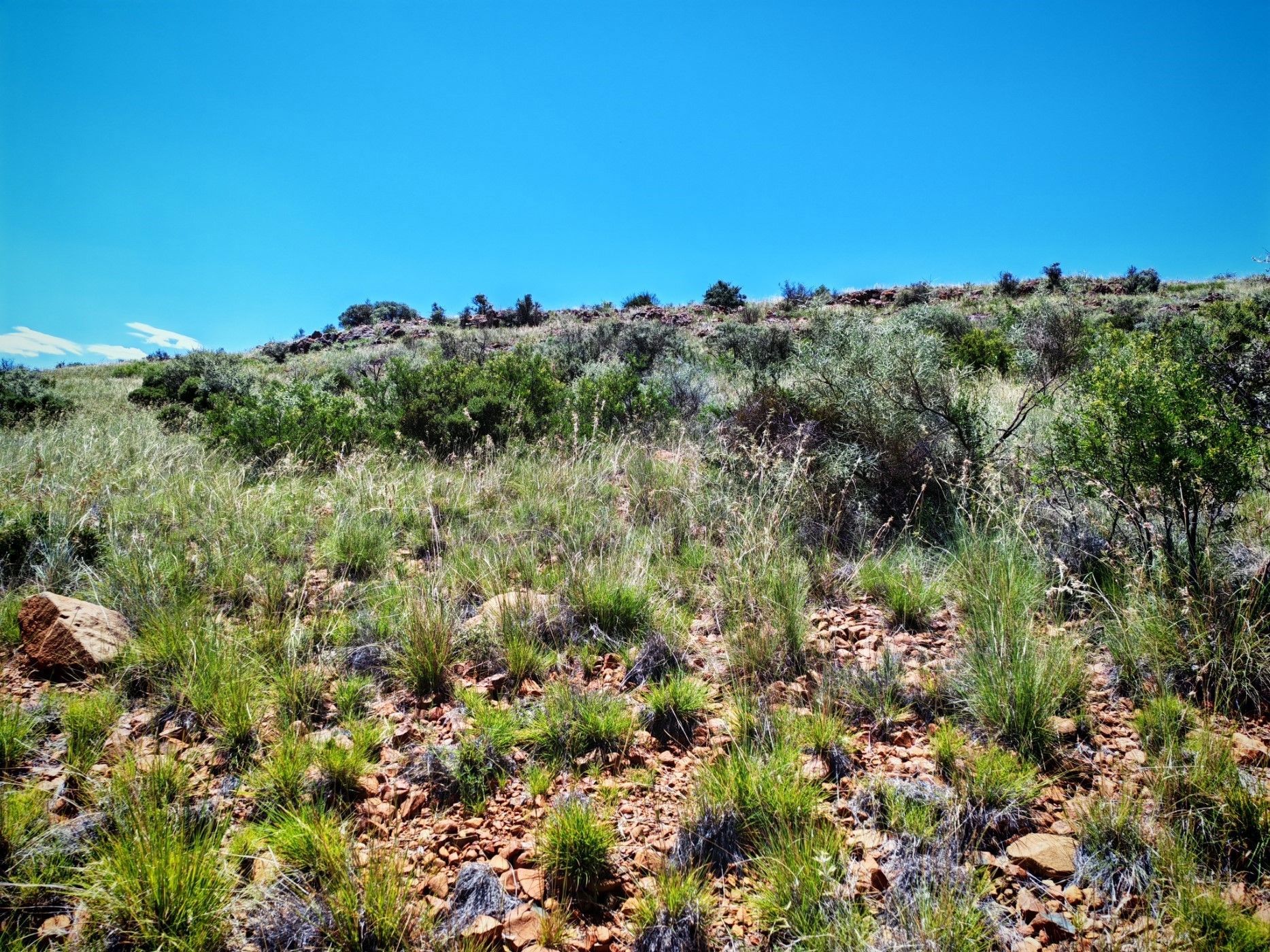 Livestock farm for sale in Griekwastad, Northern Cape - 1KJ1728657