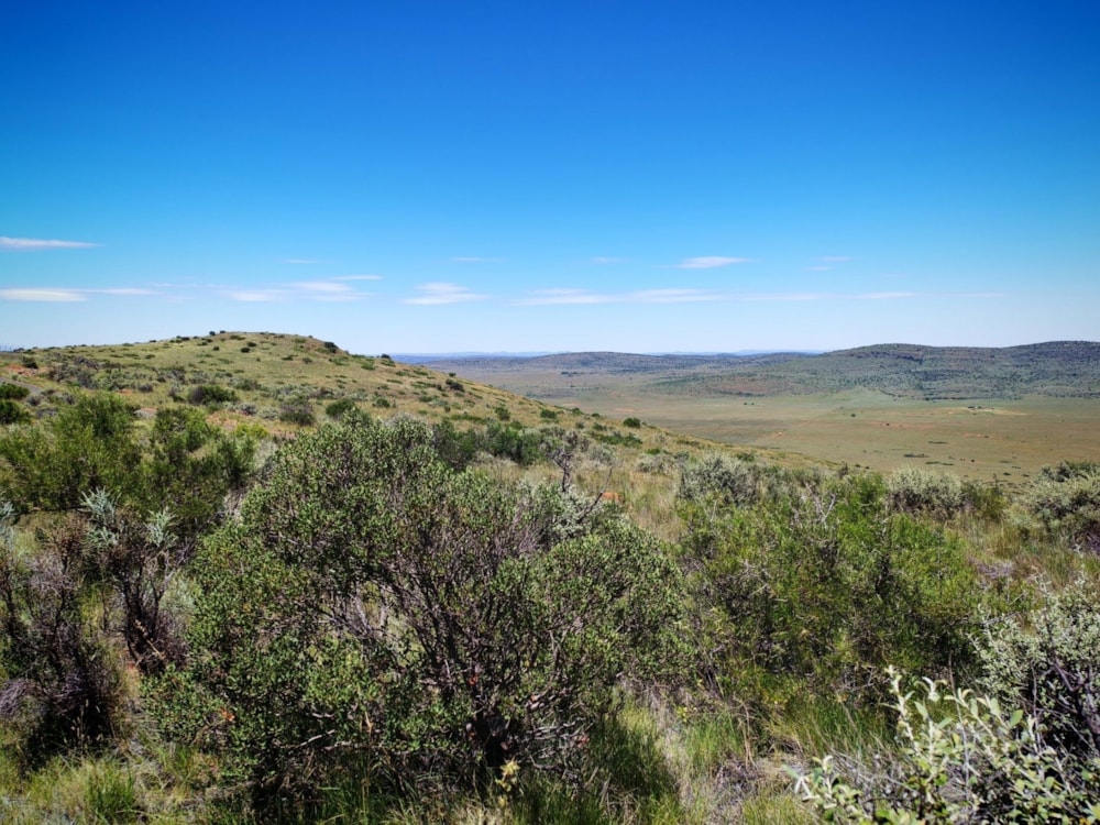 Livestock farm for sale in Douglas Rural - 1KJ1728657 Livestock farm for sale in Douglas Rural - 1KJ1728657