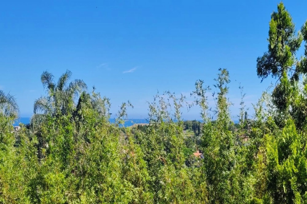 House let in Astra Park - 1WB1725842