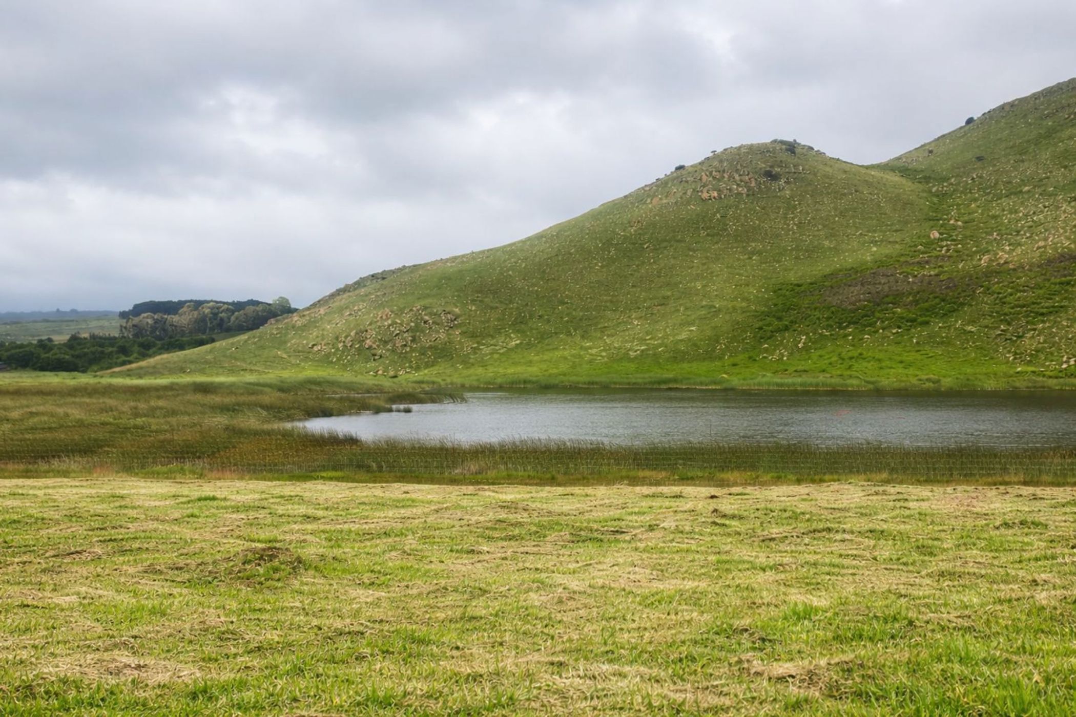 Vacant land for sale in Dullstroom - 1DS1727034