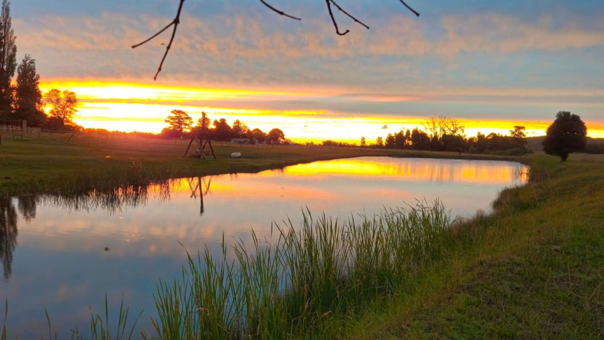 Mixed use farm for sale in Dullstroom - 1DS1728072