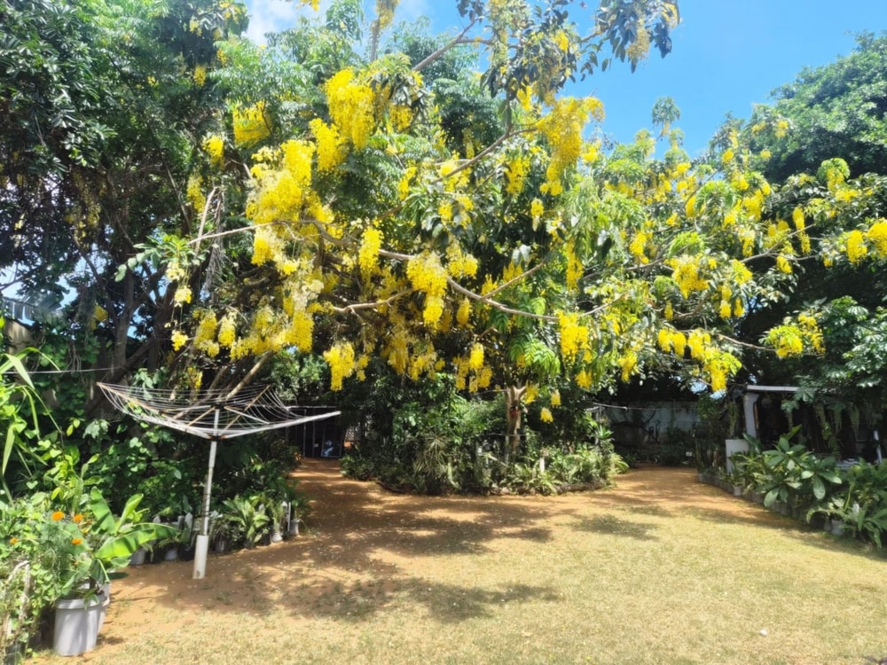 House let in uMhlanga Rocks - 1ND1739871