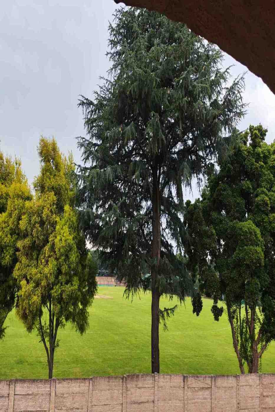 Studio apartment for sale in Blackheath, Randburg - RAN1726887