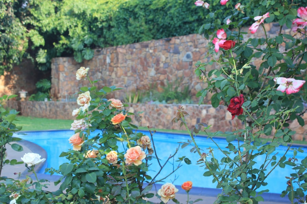 House to rent in Muckleneuk - PTL1726836