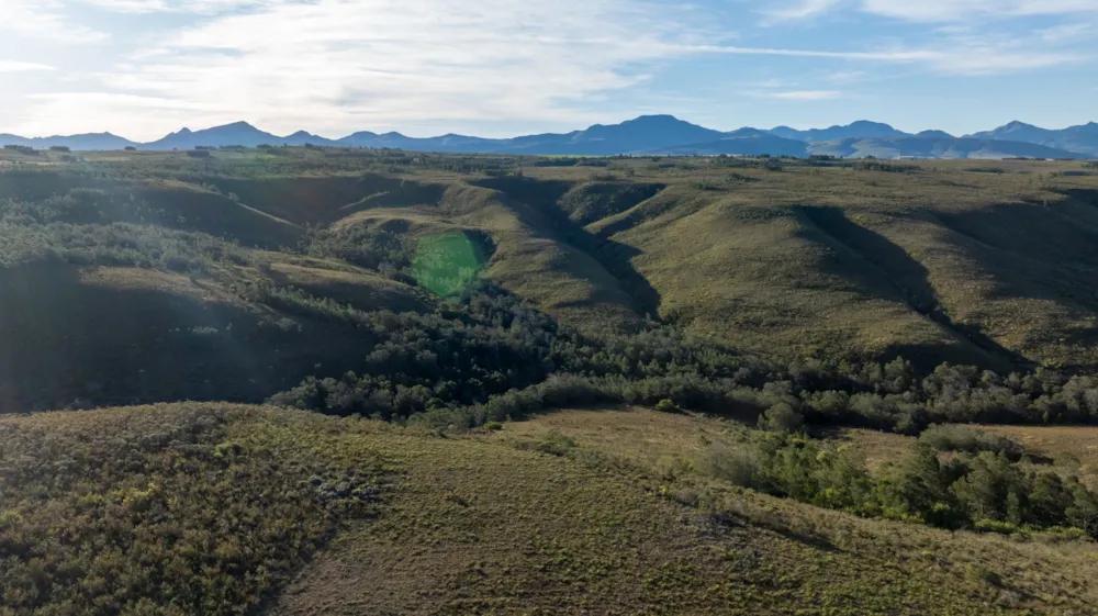 Residential vacant land for sale in Gondwana Game Reserve - 1MB1730120 Residential vacant land for sale in Gondwana Game Reserve - 1MB1730120