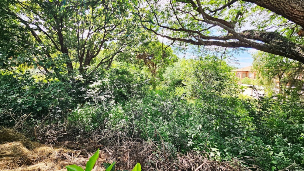 Residential vacant land for sale in Lydenburg (Mashishing) - 1LY1733569 Residential vacant land for sale in Lydenburg (Mashishing) - 1LY1733569