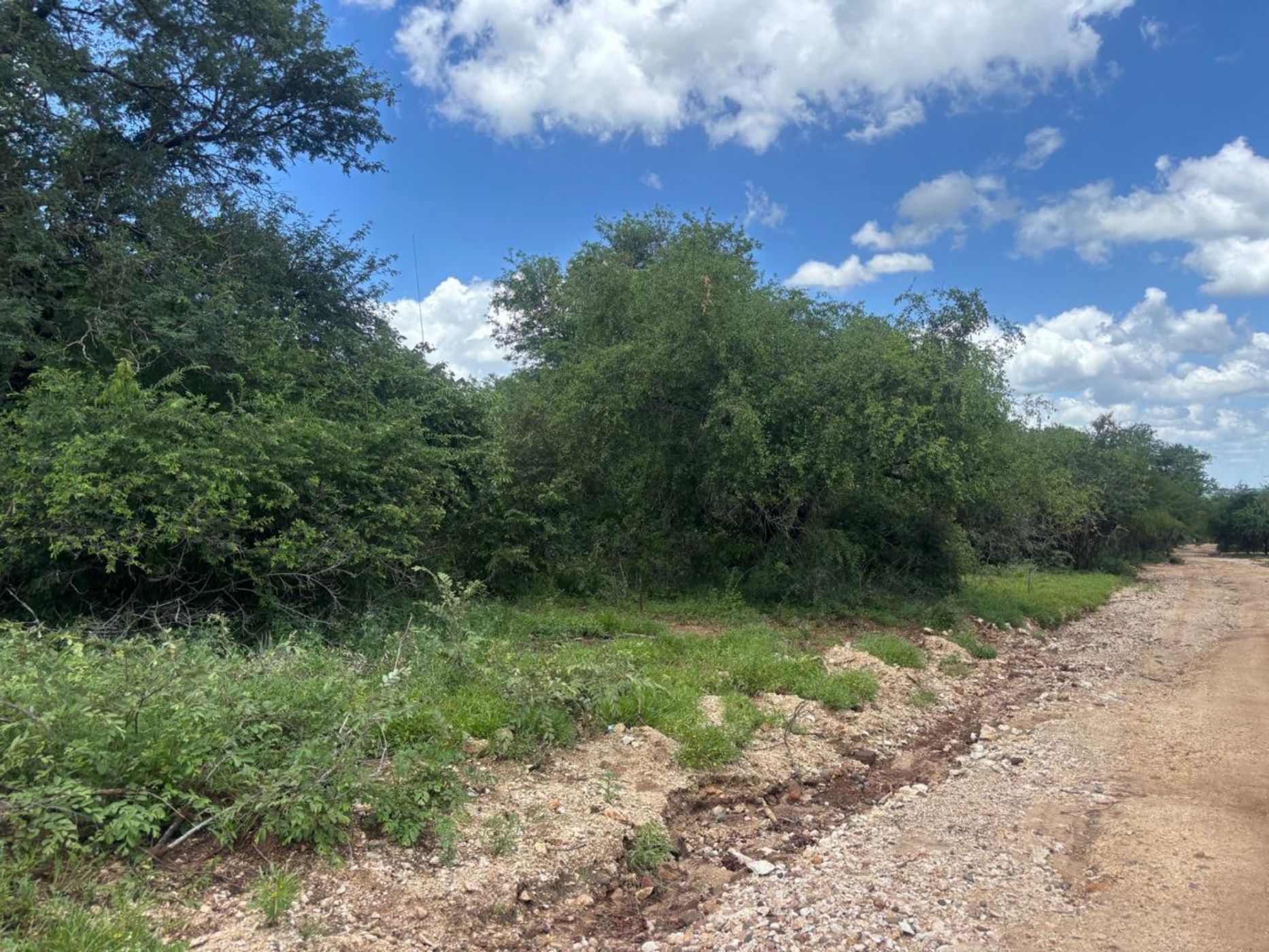 Vacant land for sale in Marloth Park - 1NK1730730