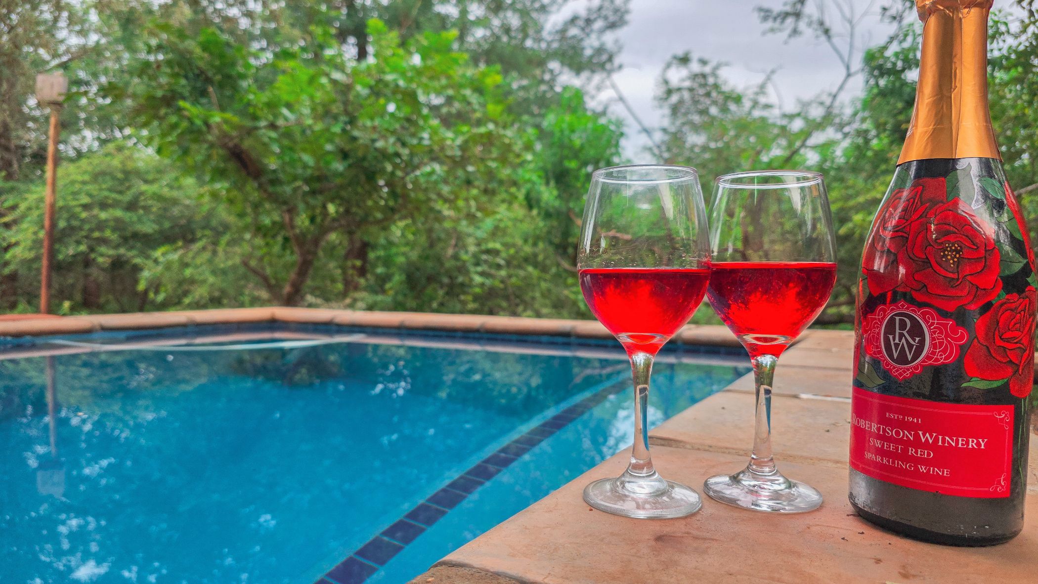 House to rent in Marloth Park - 1NK1656914