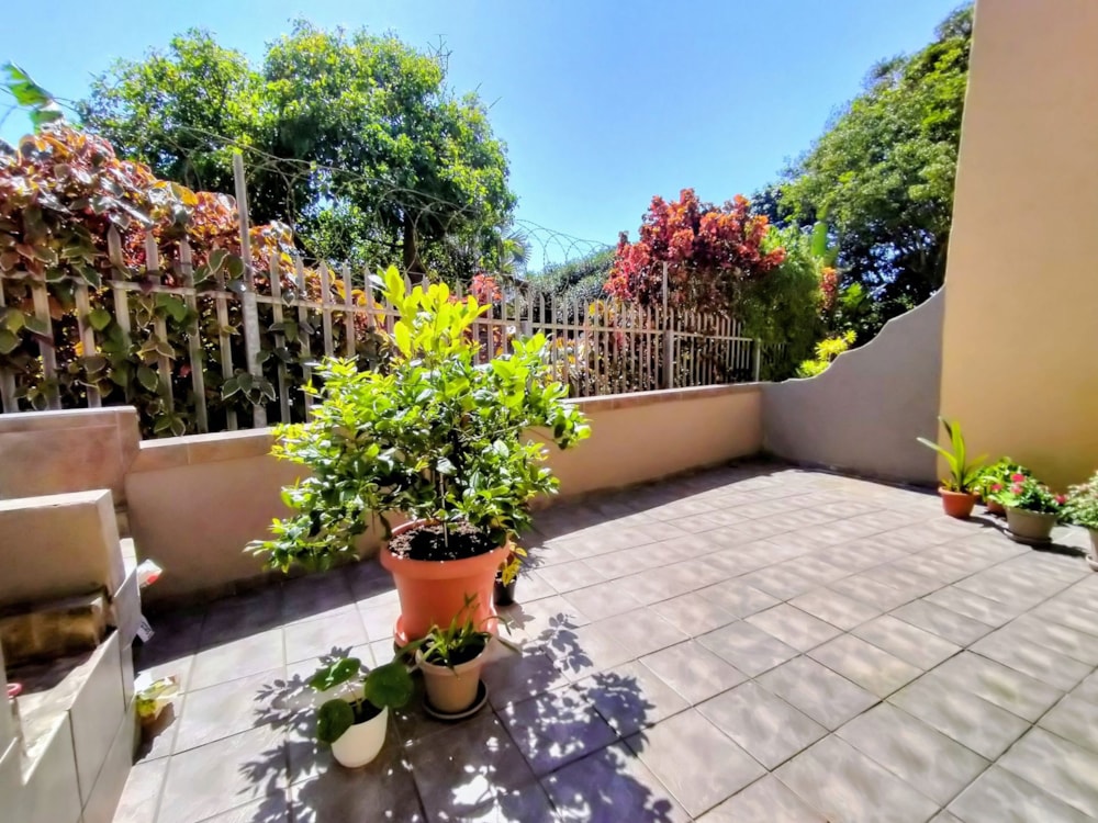 Apartment for sale in Shelly Beach - 1PSH1731741