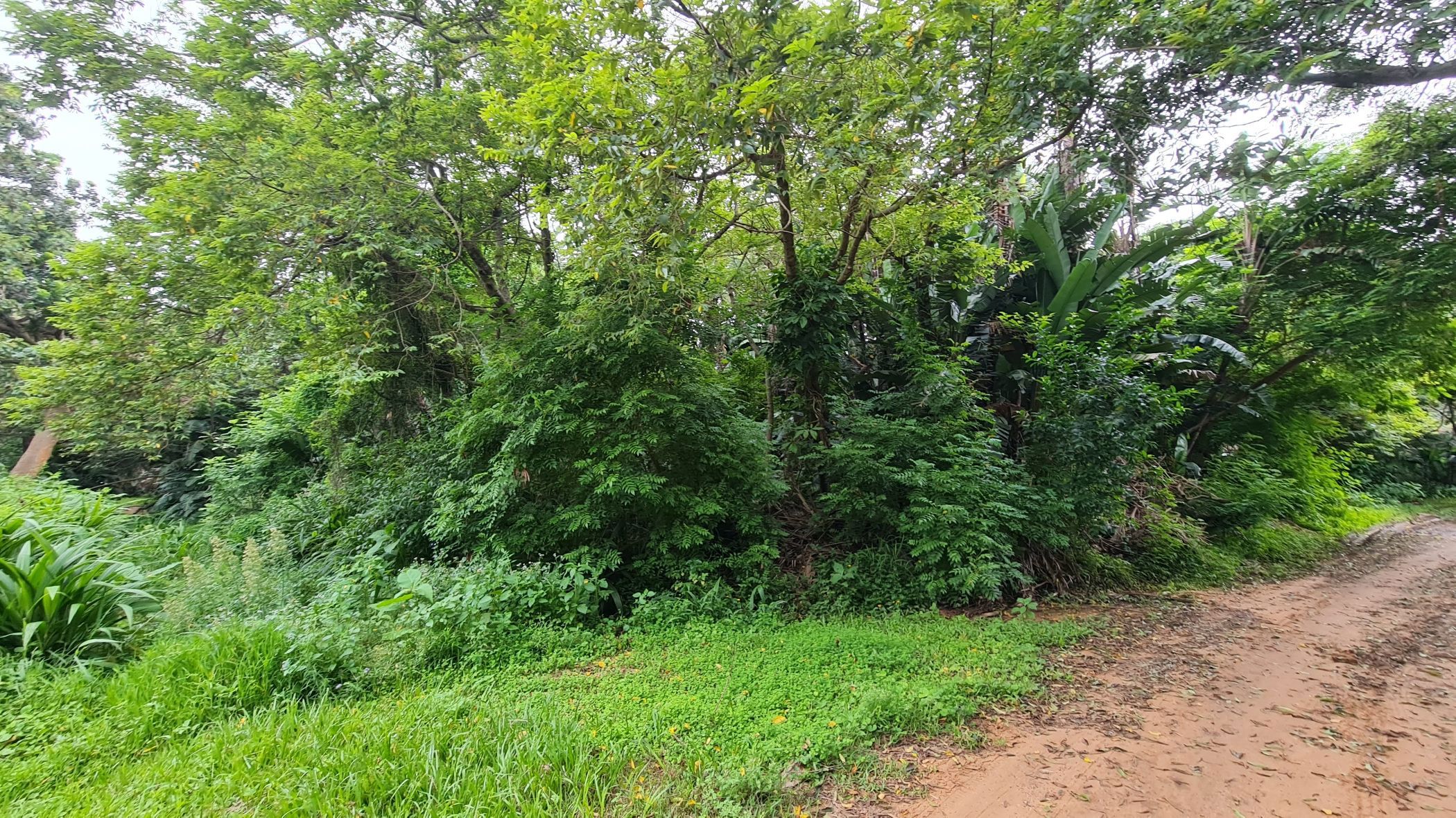Residential vacant land for sale in Trafalgar - 1PD1731706