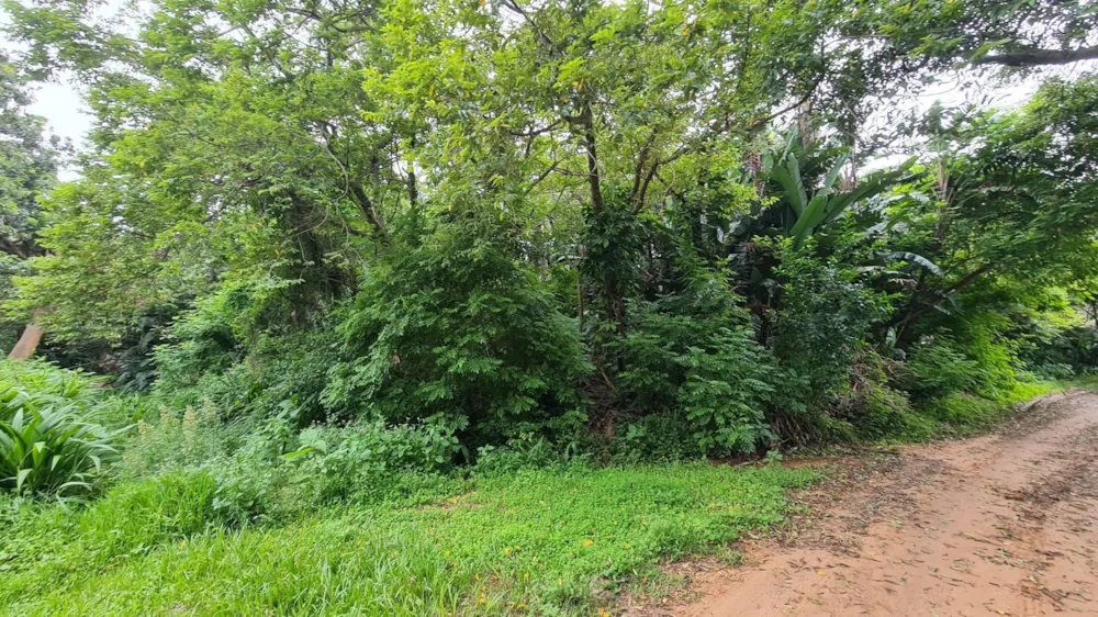 Residential vacant land for sale in Trafalgar - 1PD1731706