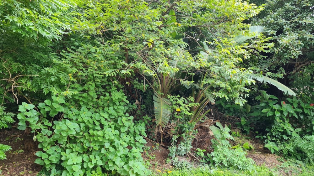 Residential vacant land for sale in Trafalgar - 1PD1731706