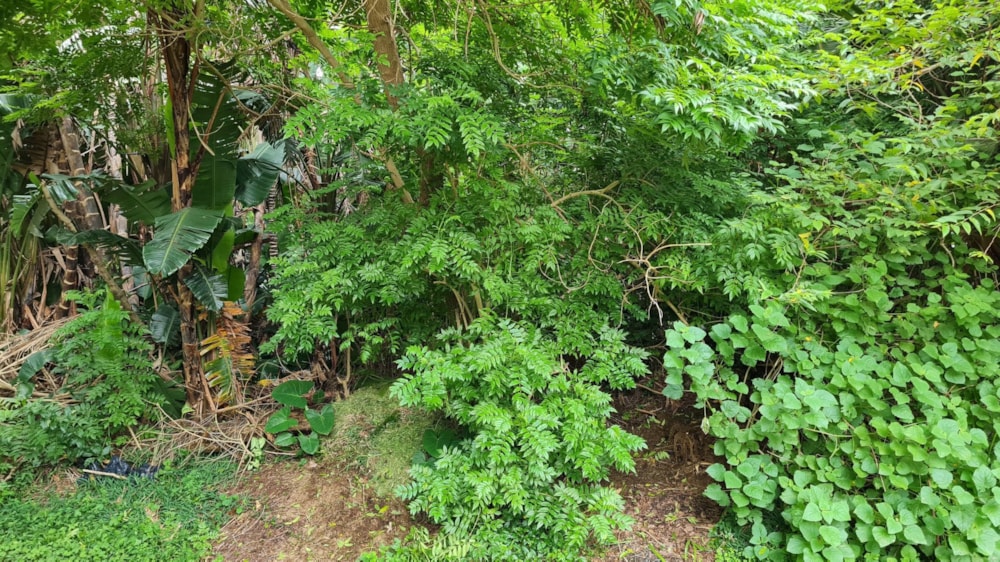 Residential vacant land for sale in Trafalgar - 1PD1731706