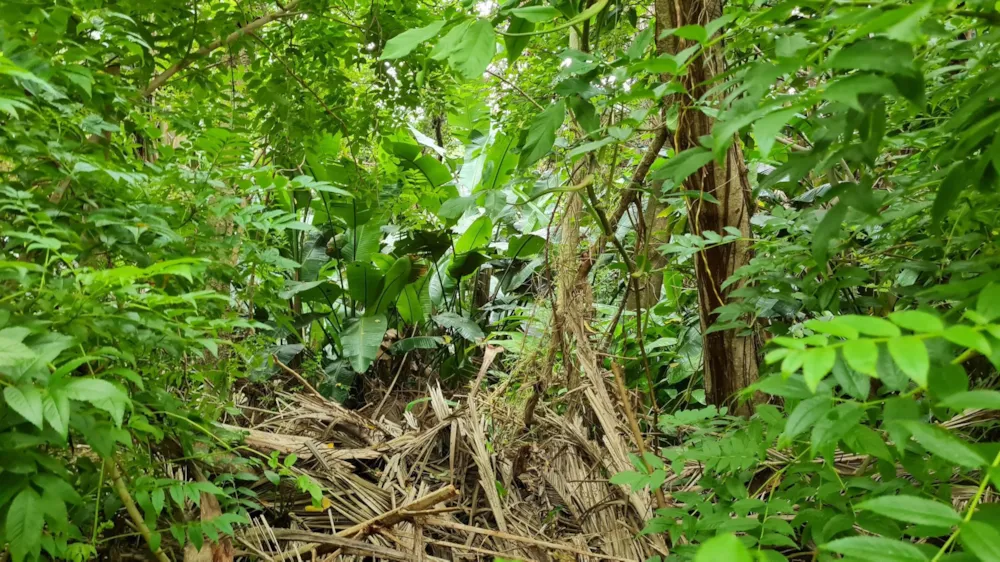 Residential vacant land for sale in Trafalgar - 1PD1731706