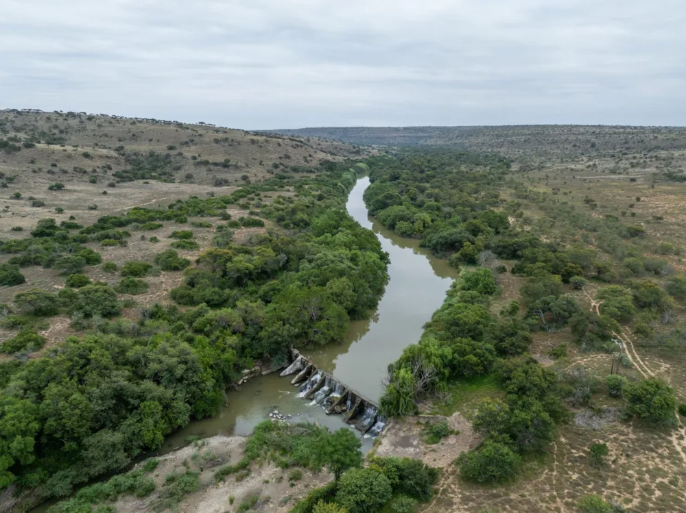 Livestock farm for sale in Adelaide - 1GC1654147