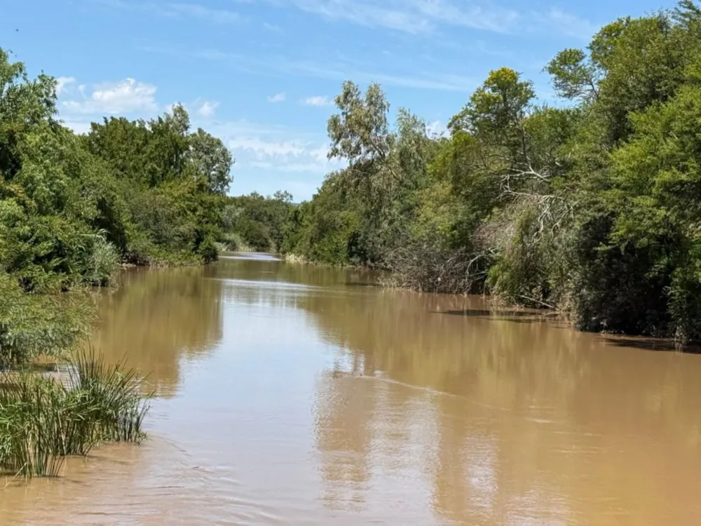 Livestock farm for sale in Adelaide - 1GC1654147