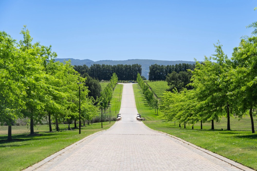 Residential vacant land for sale in Vini Fera at Anura - ST1728352 Residential vacant land for sale in Vini Fera at Anura - ST1728352