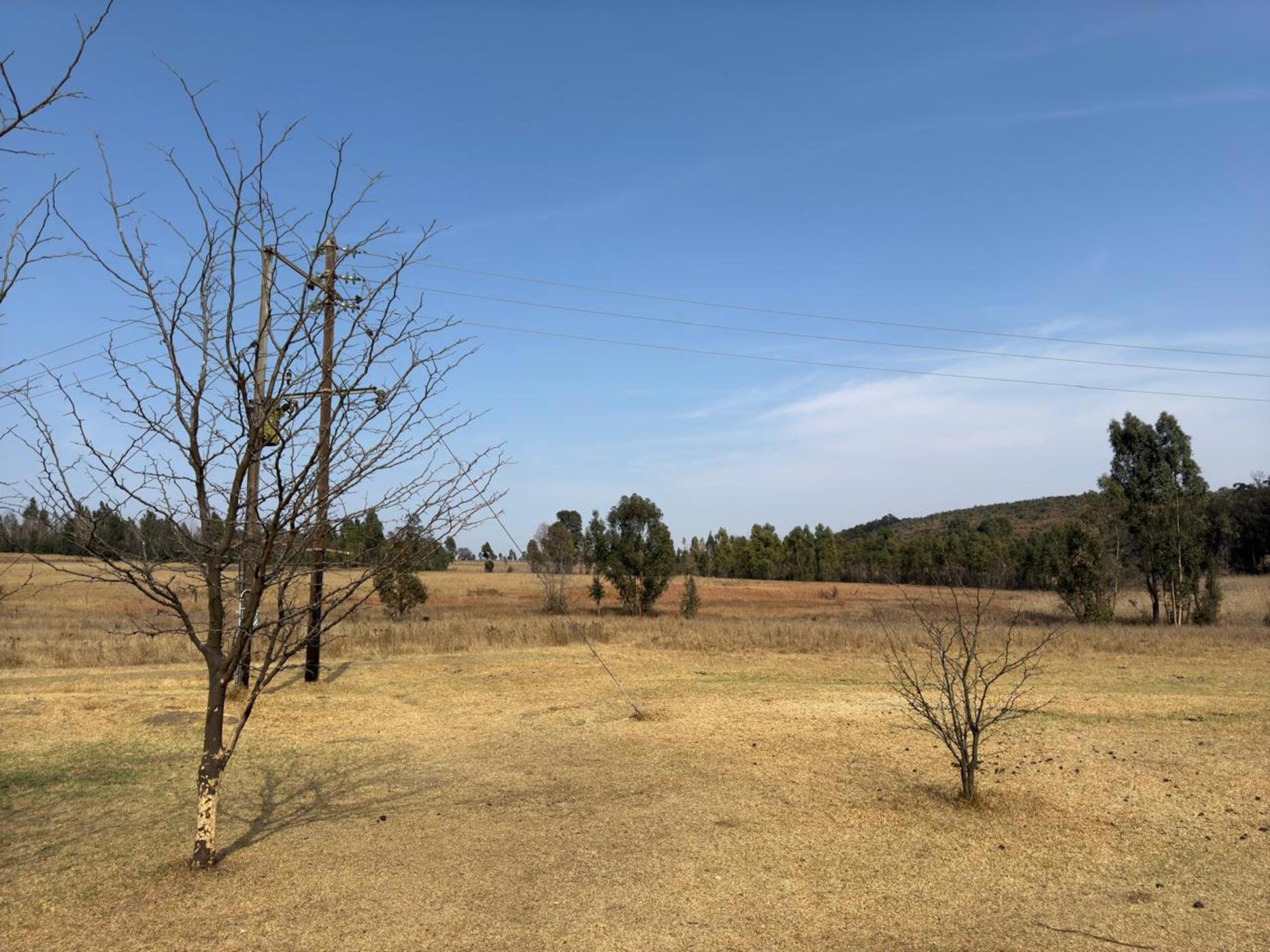 Mixed use farm for sale in Witbank (eMalahleni) - 1MD1675258