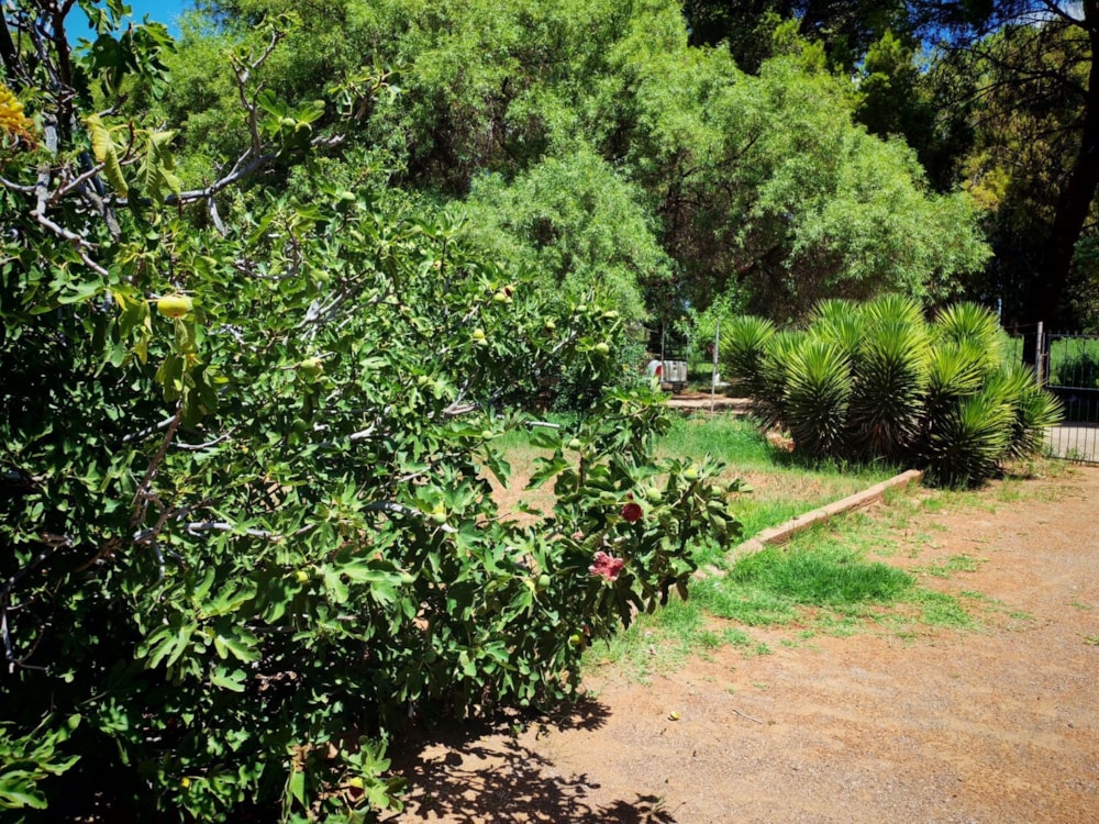 House for sale in Griekwastad, Northern Cape - 1KJ1729146 House for sale in Griekwastad, Northern Cape - 1KJ1729146