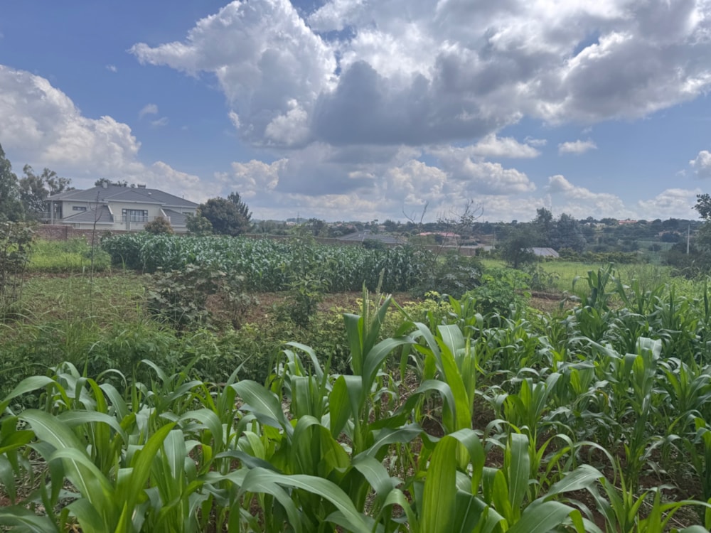 Vacant land for sale in The Grange, Zimbabwe - 3ZB1728899