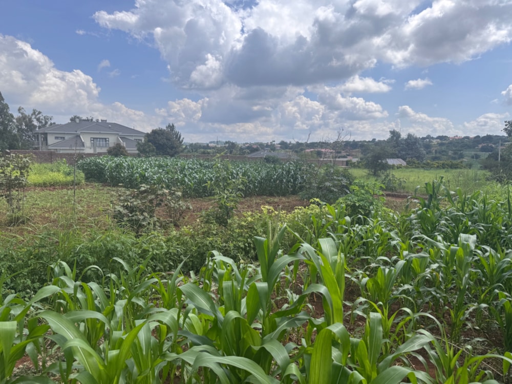 Vacant land for sale in The Grange, Zimbabwe - 3ZB1728899