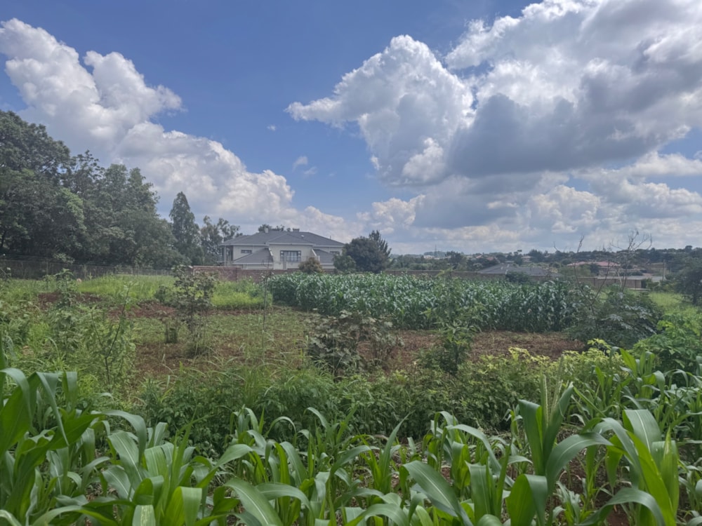 Vacant land for sale in The Grange, Zimbabwe - 3ZB1728899