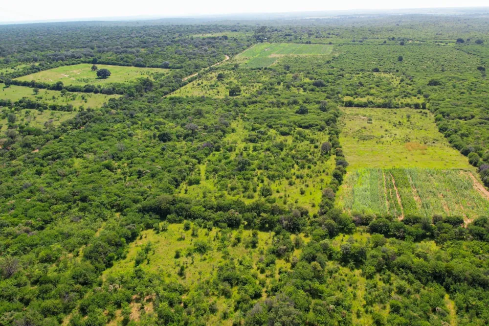 Farm vacant land for sale in Nyamandlovu, Zimbabwe - 3ZB1728543 Farm vacant land for sale in Nyamandlovu, Zimbabwe - 3ZB1728543