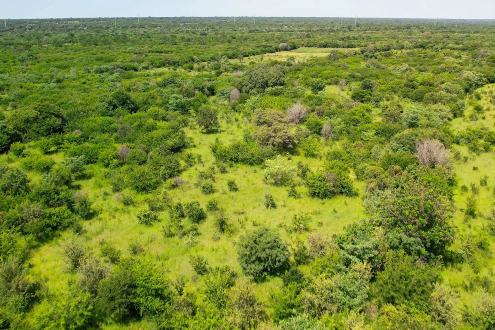 Farm vacant land for sale in Nyamandlovu, Zimbabwe - 3ZB1728543 Farm vacant land for sale in Nyamandlovu, Zimbabwe - 3ZB1728543