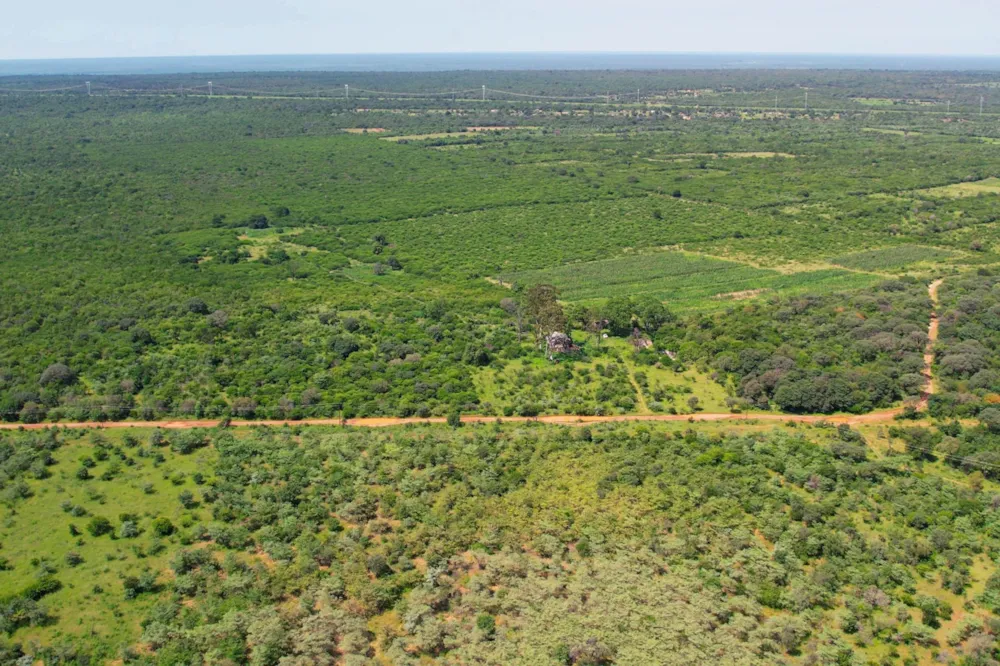 Farm vacant land for sale in Nyamandlovu, Zimbabwe - 3ZB1728543 Farm vacant land for sale in Nyamandlovu, Zimbabwe - 3ZB1728543