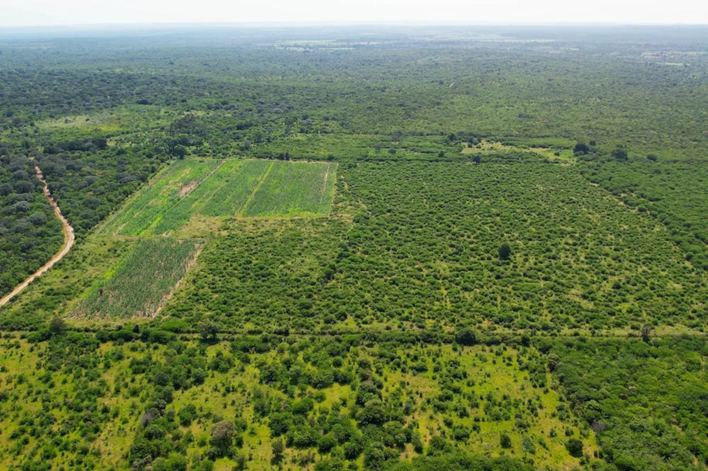Farm vacant land for sale in Nyamandlovu, Zimbabwe - 3ZB1728543 Farm vacant land for sale in Nyamandlovu, Zimbabwe - 3ZB1728543
