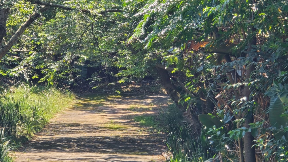 Residential vacant land for sale in Hibberdene - 1PSH1729463