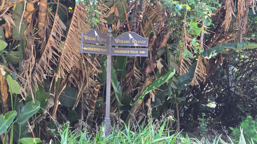 Residential vacant land for sale in Hibberdene - 1PSH1729463