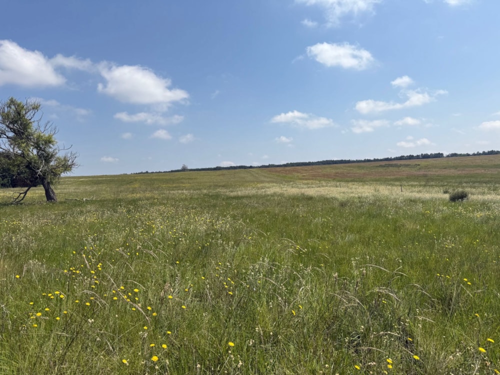 Mixed use farm for sale in Ermelo East - 1EM1728725