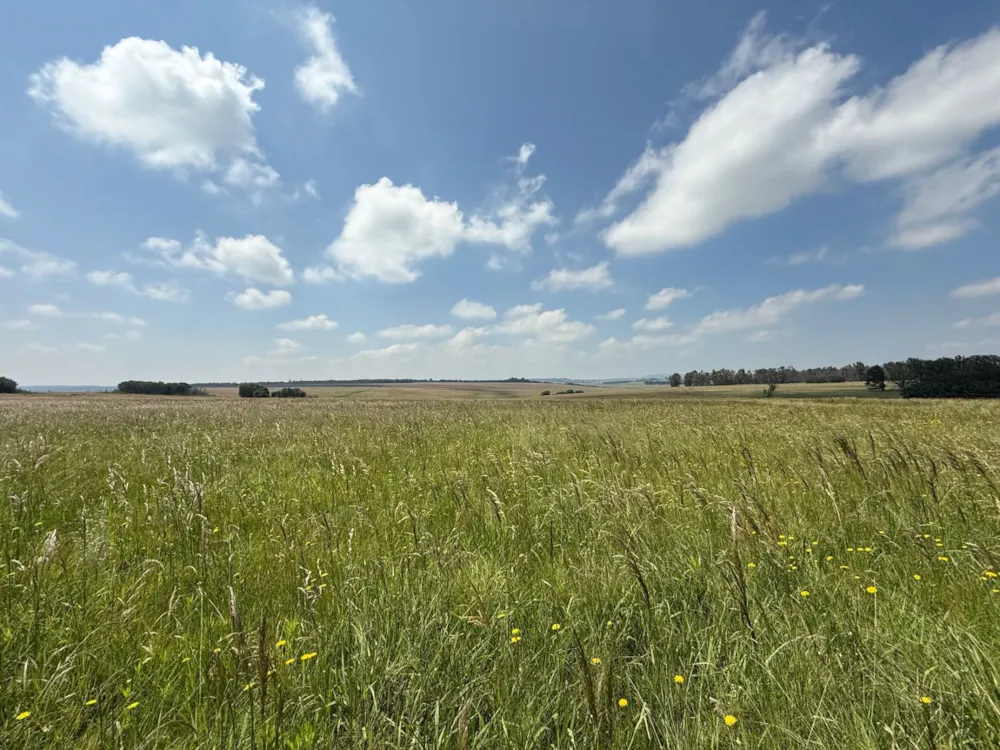 Mixed use farm for sale in Ermelo East - 1EM1728725 Mixed use farm for sale in Ermelo East - 1EM1728725
