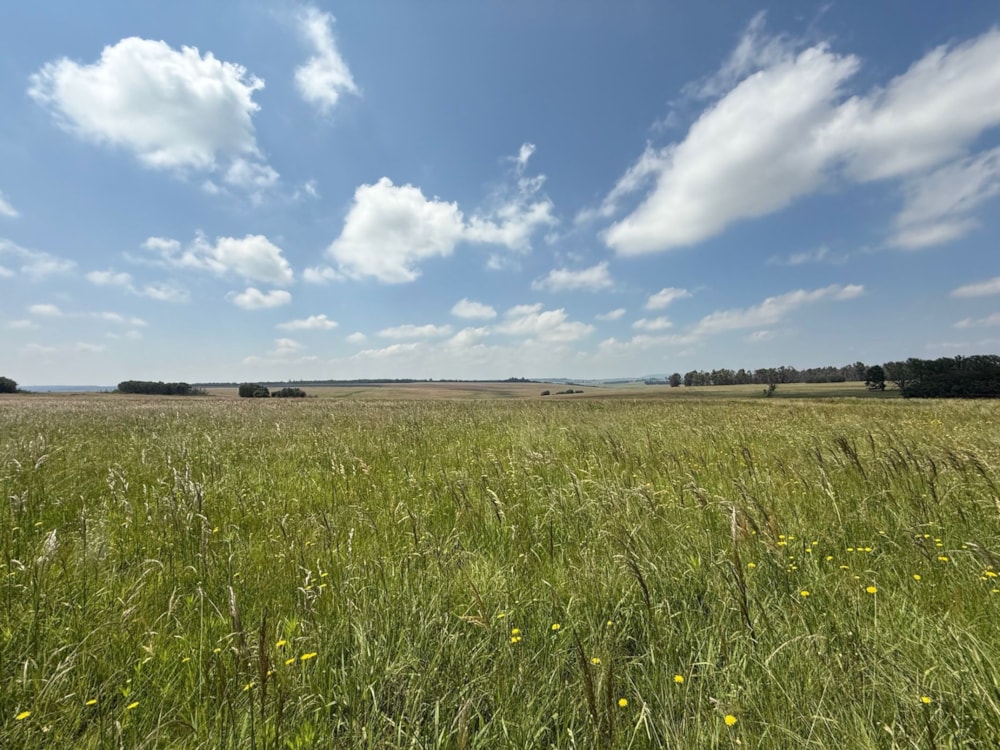 Mixed use farm for sale in Ermelo East - 1EM1728725