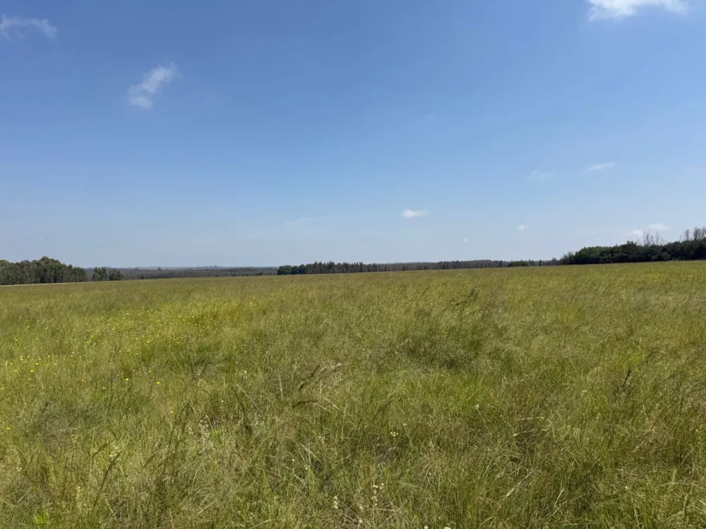 Mixed use farm for sale in Ermelo East - 1EM1728725 Mixed use farm for sale in Ermelo East - 1EM1728725