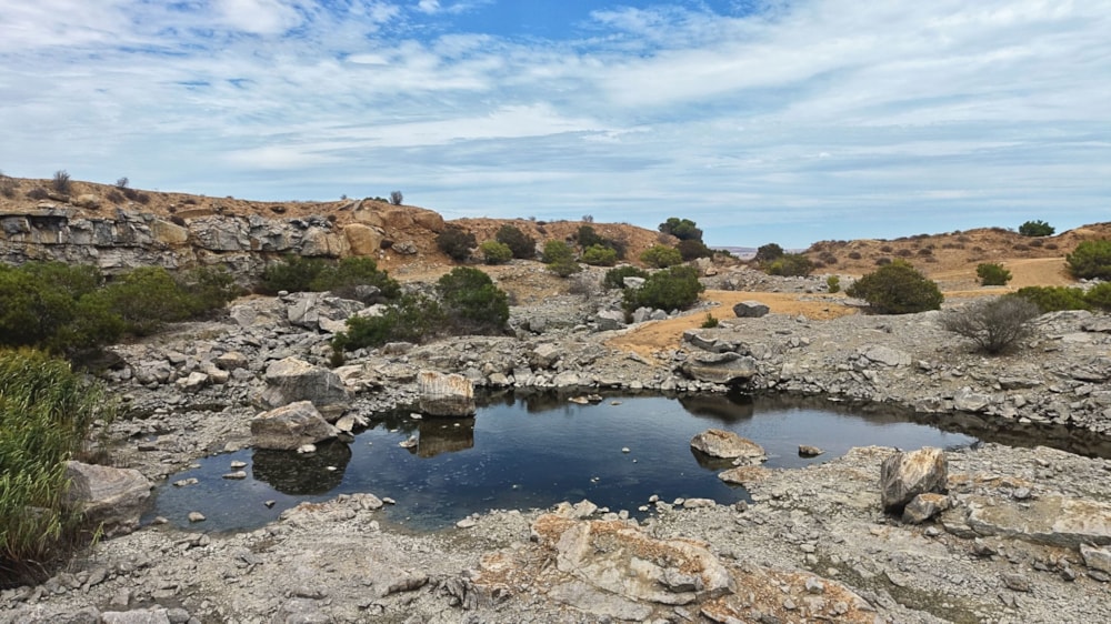 Farm vacant land for sale in Vredenburg - LA1728789