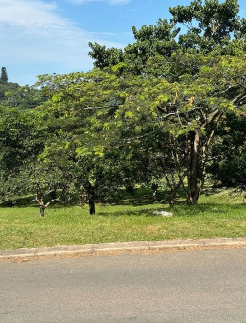 Vacant land for sale in Pennington - 1SI1729178
